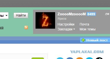 Получены эксклюзивные кадры тренировки членов теробороны.