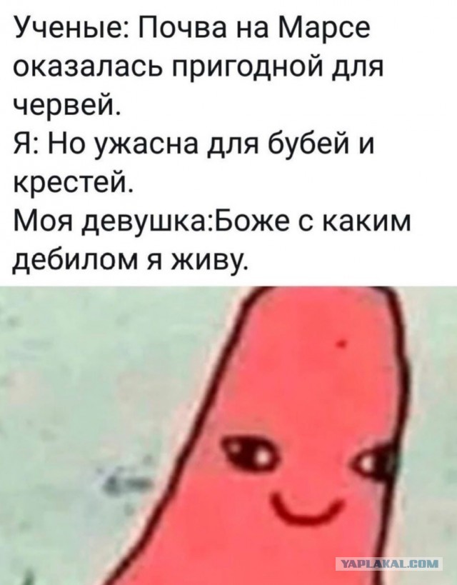 Картинки с надписями и всякие жизненные фразы