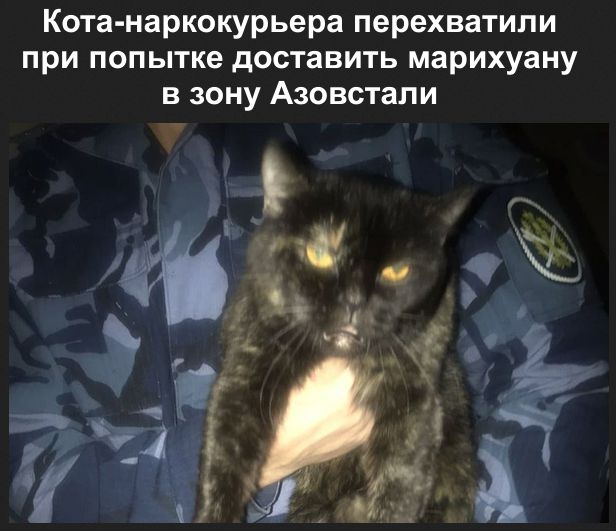 Мы никуда не спешим!