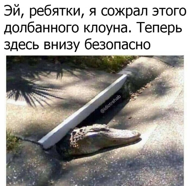 Так себе картинки 19.05.22