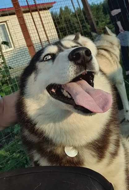 Взгляд