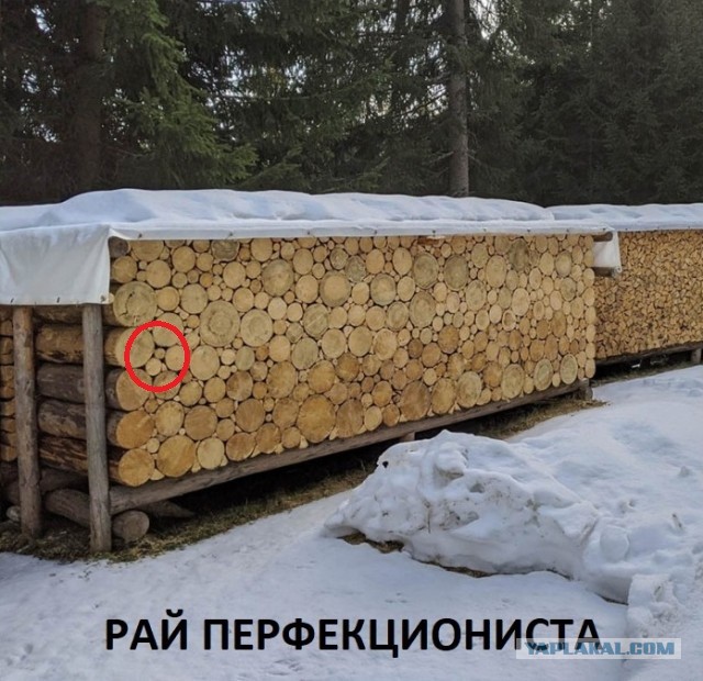 Немного картинок для настроения - 133