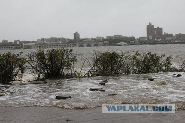 У гроба Папы Иоанна Павла II