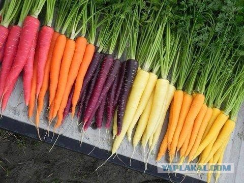 Тот самый пловъ по-московски от Гарика