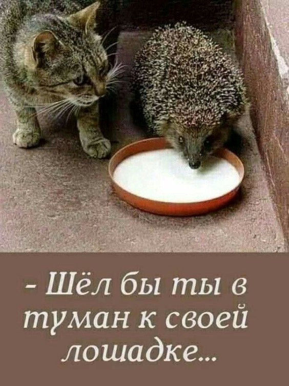 Так себе картинки 15.04.23