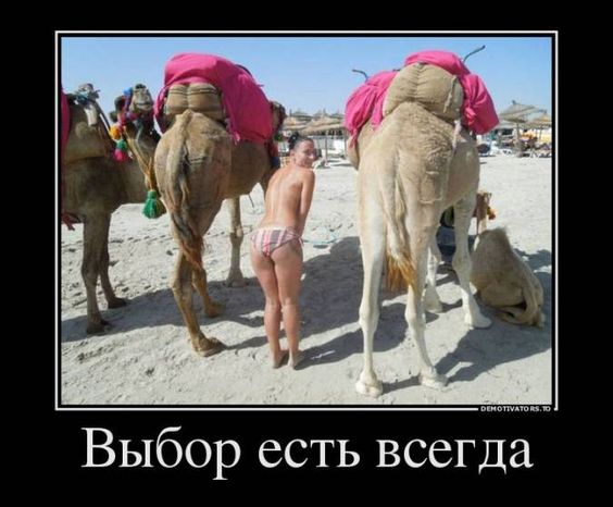 Прикольные и просто красивые картинки 02.06.2023