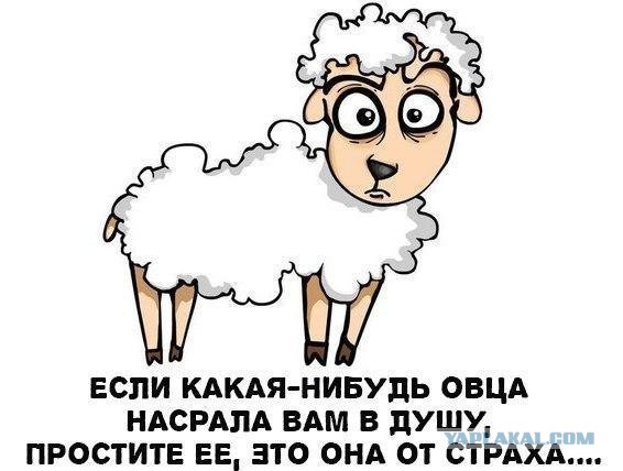 Подарил ТП правила дорожного движения