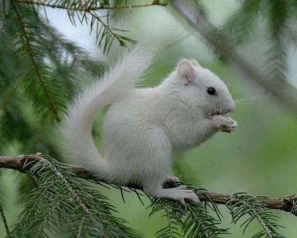 ФотоВинегрет