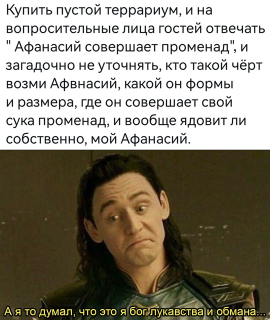 Весёлый полтишок 23.06.24
