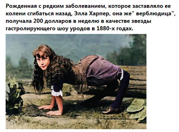 Ударим баянами по второй половине лета