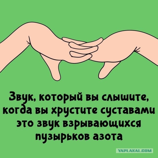 Подборка интересных фактов на все случаи жизни