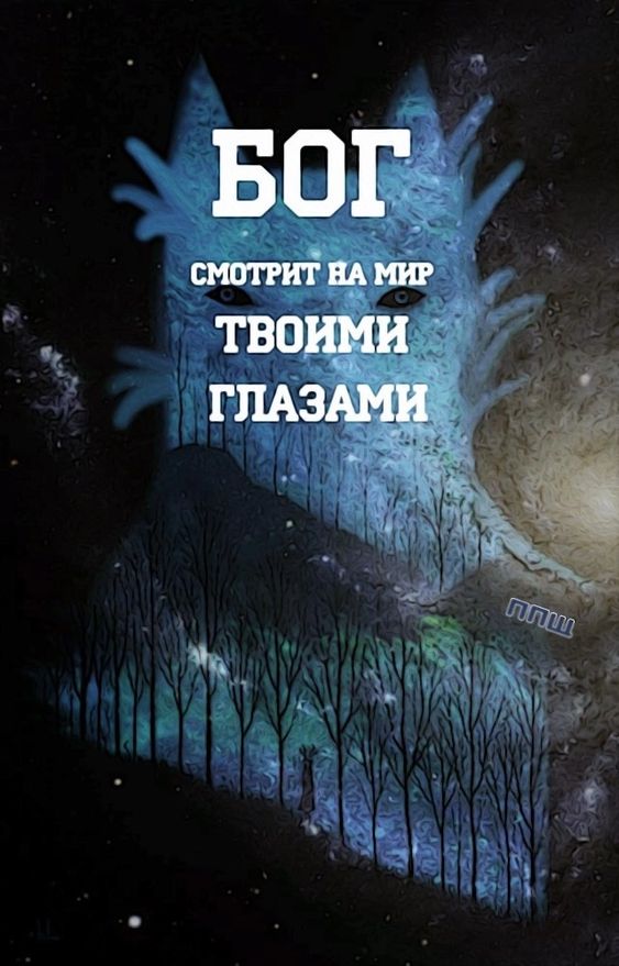 Прикольные и просто красивые картинки 12.11.2024