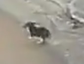 А могло быть видео для УП