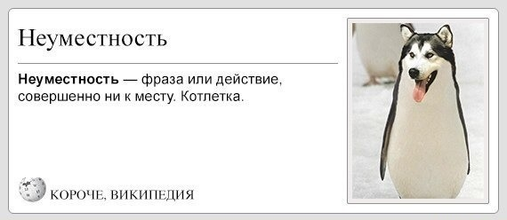 Охота стаи волков на кабанов под Тюменью
