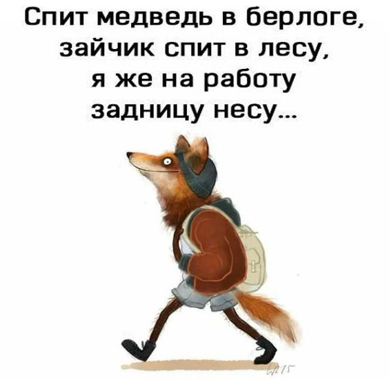 Подборка мемчиков за пол дня