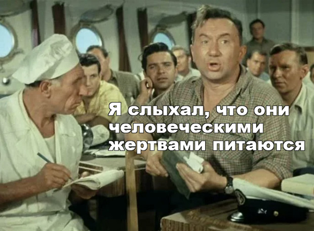 Самый грозный хищник океана не акула — его боятся даже косатки
