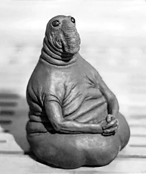 Шиитский синдром