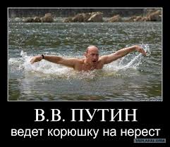 25 лет коммунального ига: за четверть века тарифы ЖКХ выросли на 366%, доходы на 230%