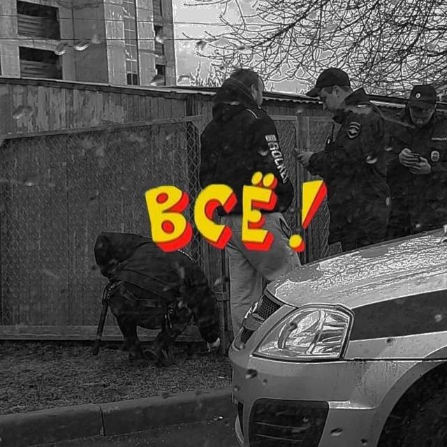 Немного мемчиков. Для взрослых. Часть 38
