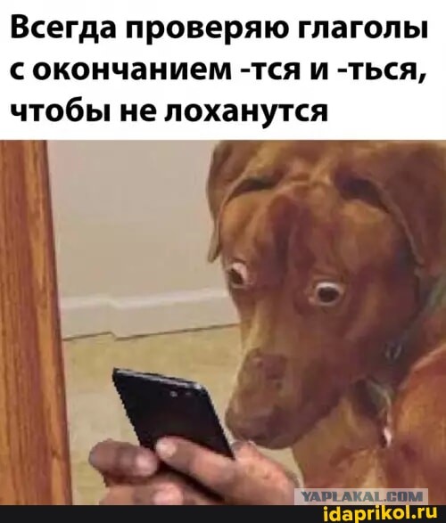 Так себе картинки 24.09.25