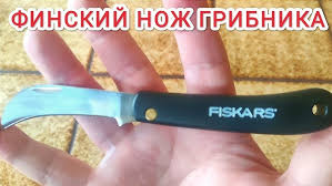 Главу Ленинского района Новосибирска Александра Гриба случайно застрелили на охоте