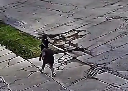 Шустрый коп