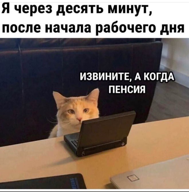 20723146.jpg