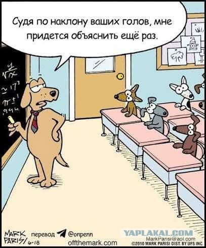 Картинки для деградации 240 (разной степени свежести)