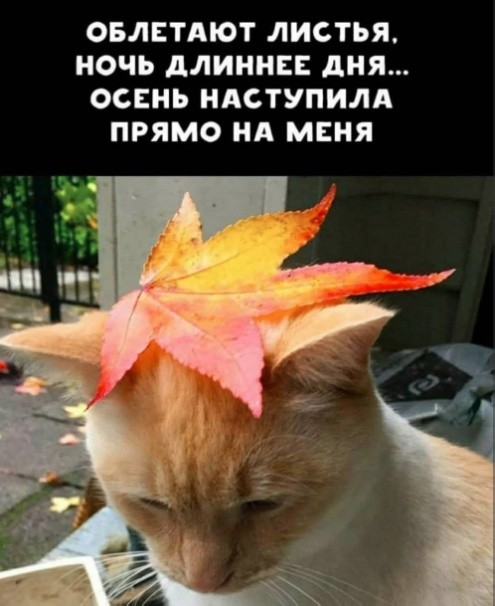 Так себе картинки 14.09.26