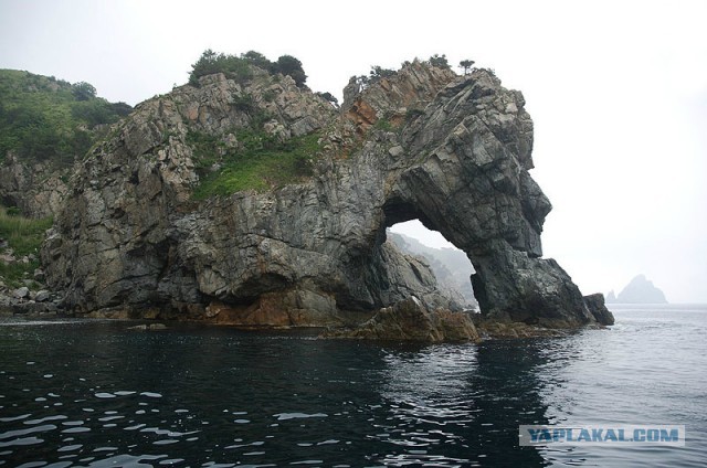 Природа Приморского края