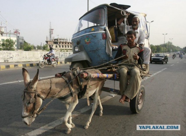 Как меня разыграли на работе с повышением