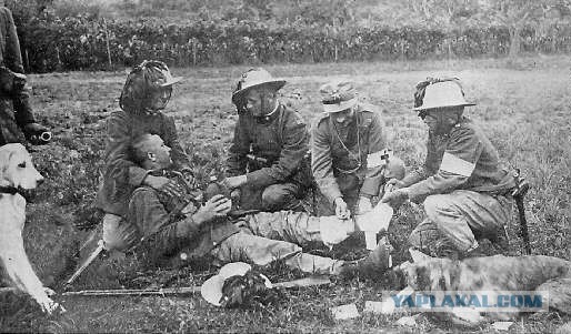 Очень редкие фотки Первой мировой войны