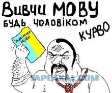 Берегите голову, в общем