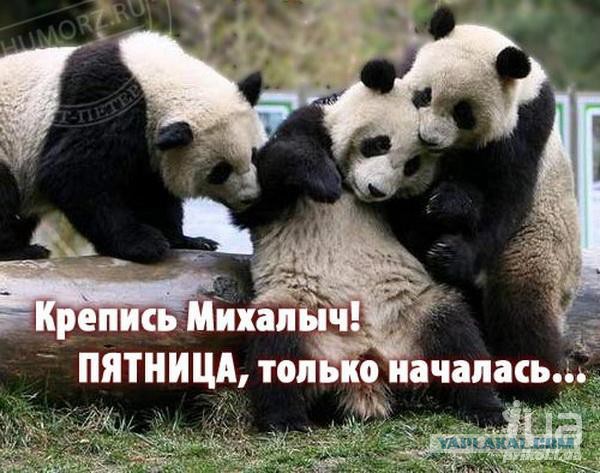 Весёлое из сети