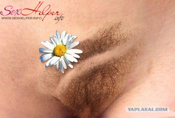 Кроха сын к отцу пришёл