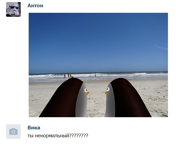 Пингвинчики