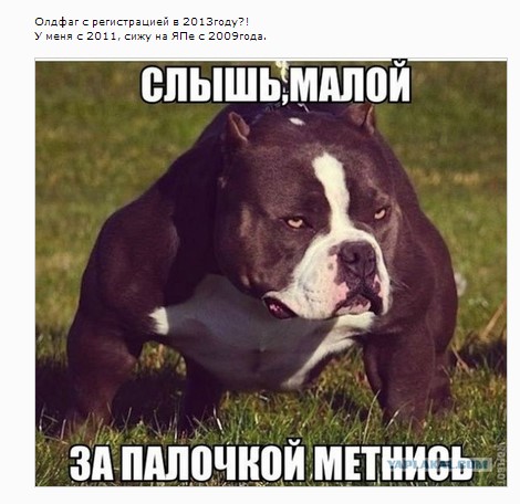 Коротко о ЯПе. От новичка к олдфагу