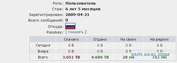 В России навечно заблокированы несколько торрентов