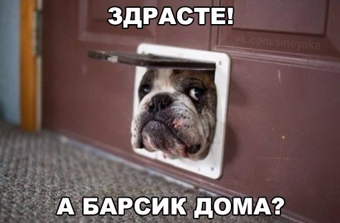 Прикольные картинки