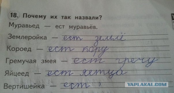 Злые шутки или минутка сарказма на ЯП-е, 16+