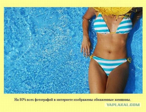 28 занимательных фактов о разном