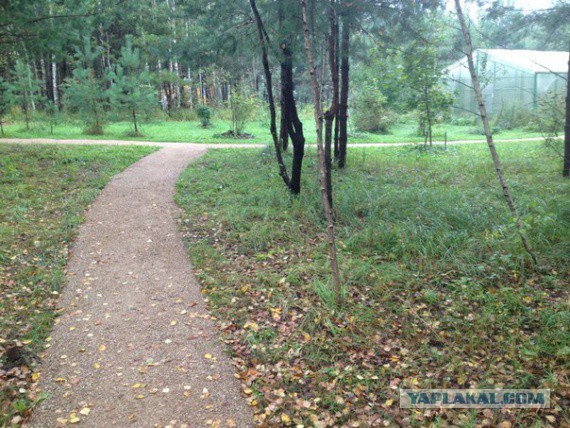 Жизнь на природе с нуля или как становятся самообеспеченными