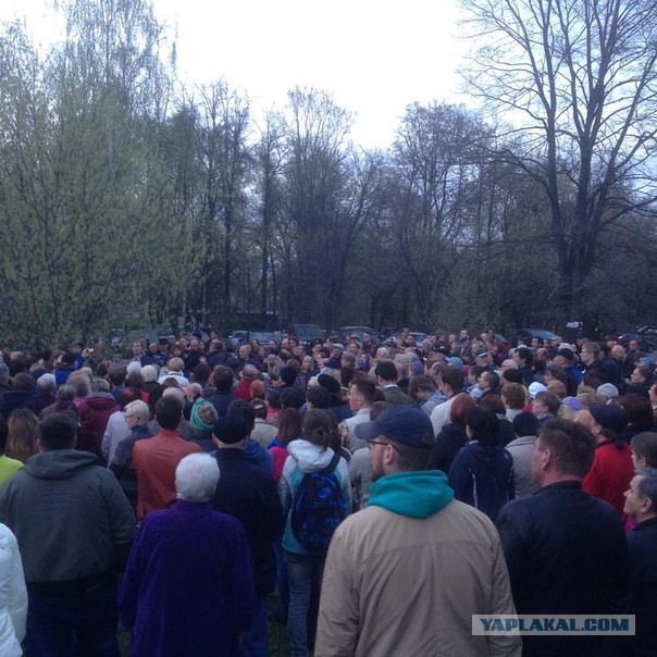 По поводу приюта Эко Вешняки....