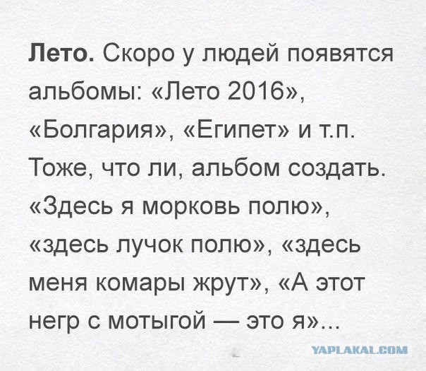 Вот почему я так люблю приезжать на дачу!