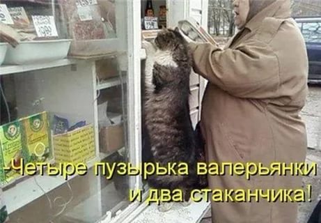 Мохнатые беспредельщики