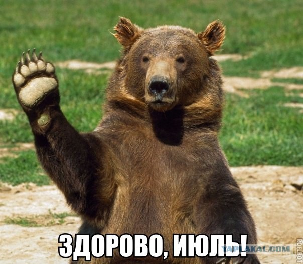 Подборка интересных и смешных картинок
