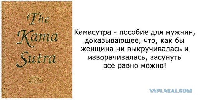 Порция картинок из сети