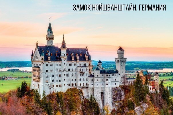 Порция картинок