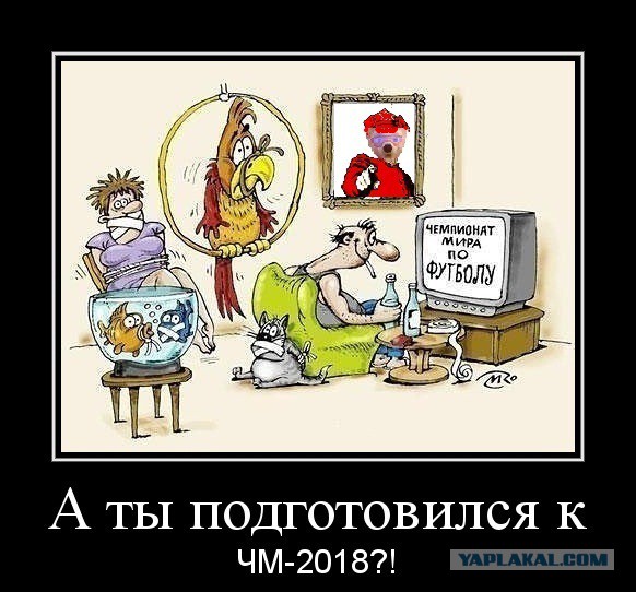 Талисман ЧМ-2018  разошёлся на мемы