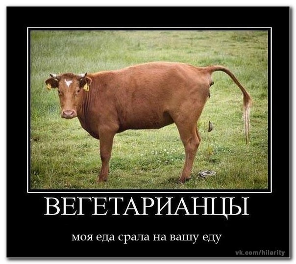 Российские зоозащитники предложили убрать мясо из рациона в тюрьмах и детских садах